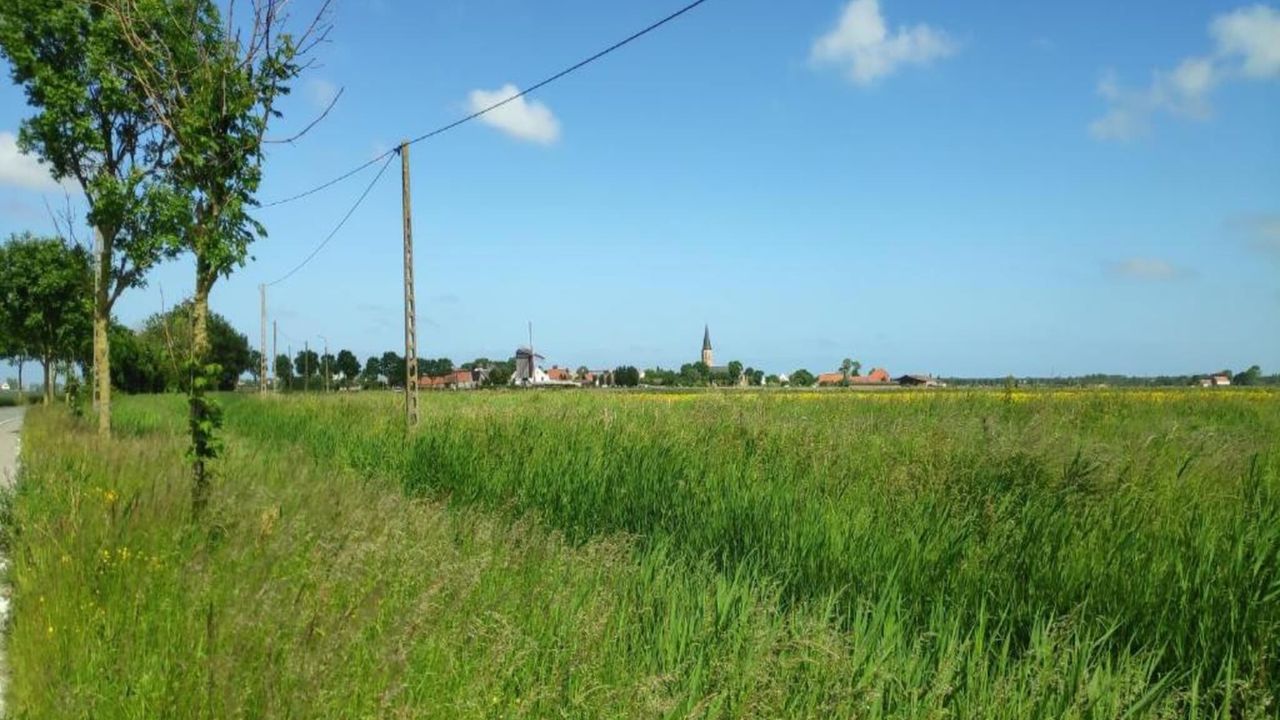 AreaSummer20KM AreaSummer20KM